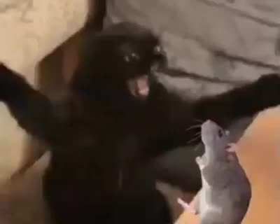 n&atilde;o teve respeito nem paz