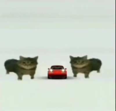 MAZDA MIATA