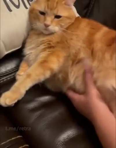 I think this goes here.