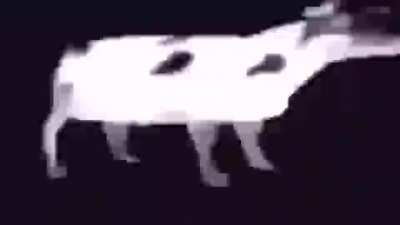 SquarePosting - Video #6300