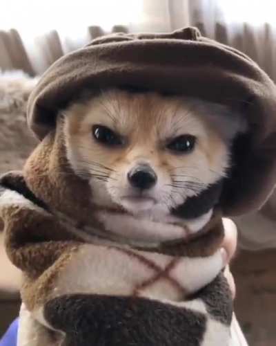 Old Man McScree