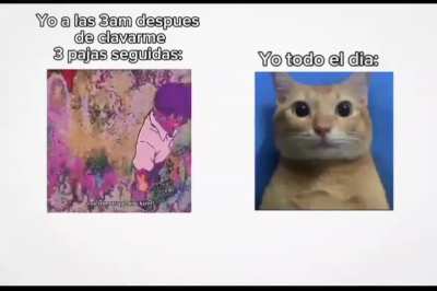 BeelcitosMemes - Video #8074
