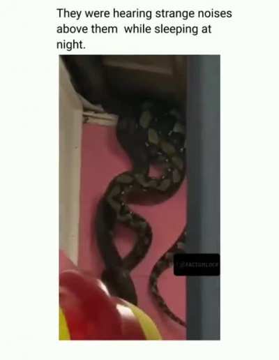 of a wiggly boy