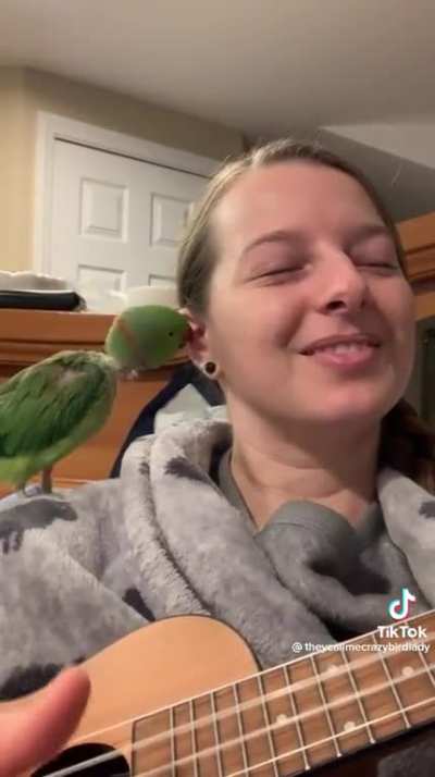 Birb sings along