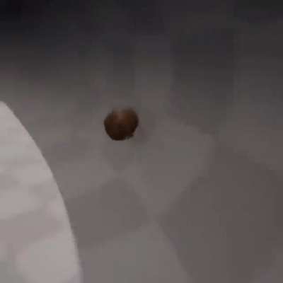 Woodlouse gaming
