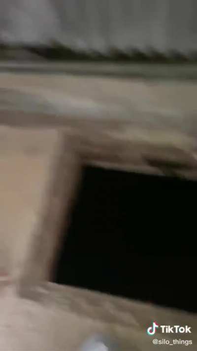 The VOID