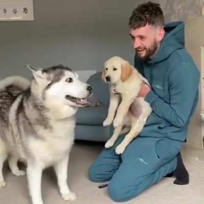 The first meeting