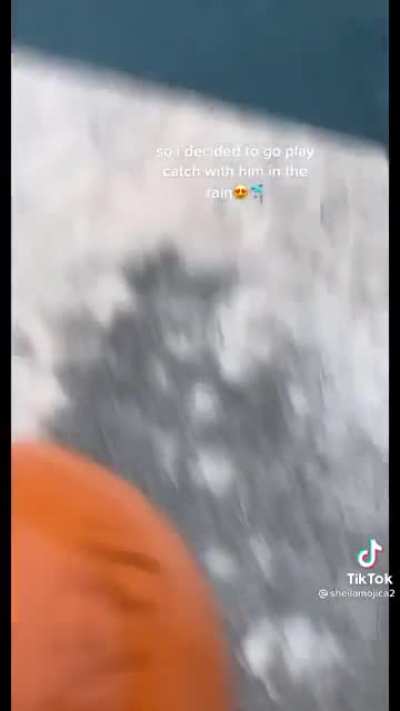 Playing catch with a friendly dolphin