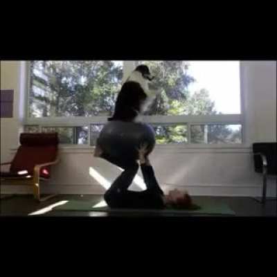 Best yoga partner
