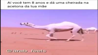 T&iacute;tulo?