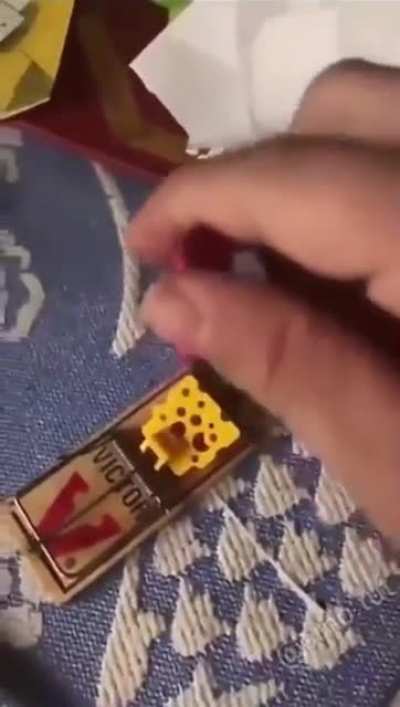 Testing the mouse trap