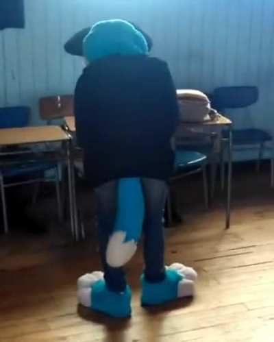 Furros revel&aacute;ndose