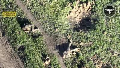 Ukrainian drone skillfully kills two orcs with high precision