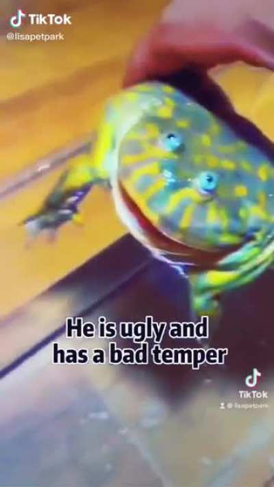 He big mad