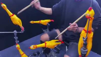 Drum set made from Rubber Chicken