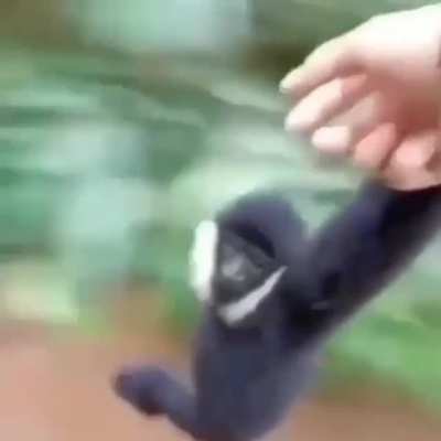 Nada mas que a&ntilde;adir