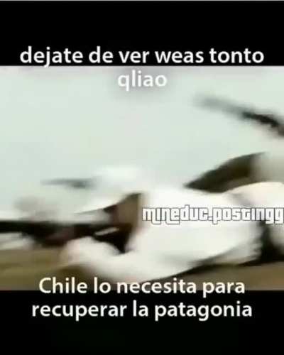 Así es, compatriota.