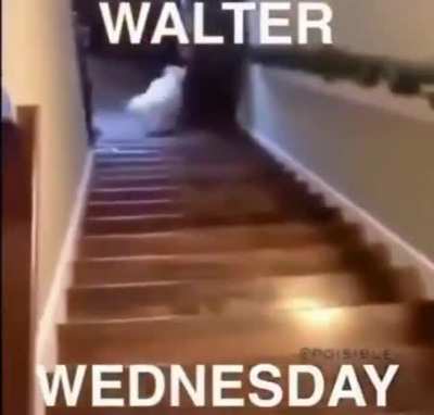wednsday