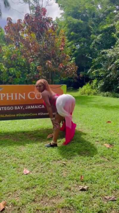 Mobay vibes