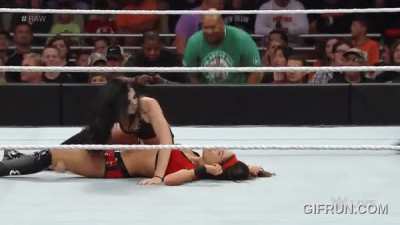 Brie Pinned By Paige