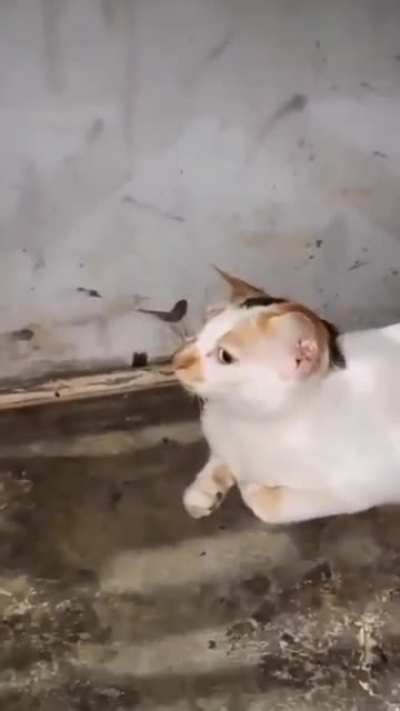 &copy;