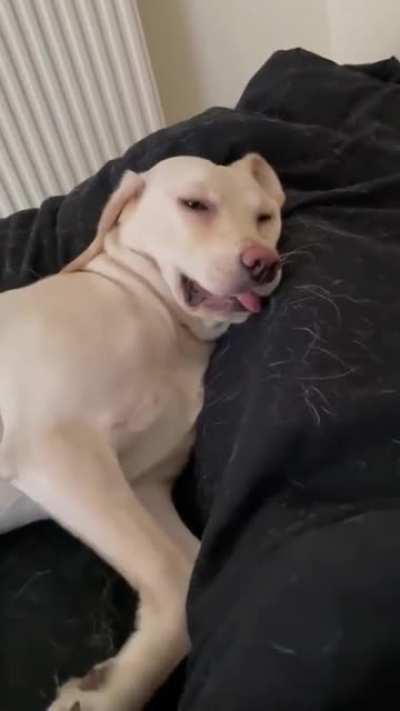 Dreaming of veggies