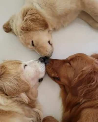 A trick to sleepwalking together ... =)