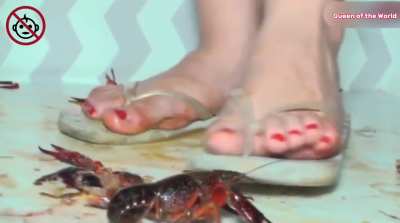 part.<wbr>(2)#e<wbr>nding