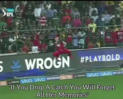 Catch it please.