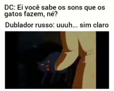 gato russo &eacute; diferente eu acho