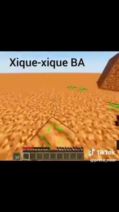xique-xique be like