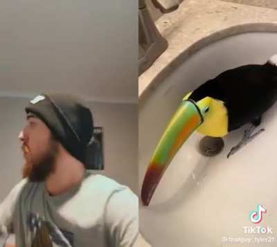 🦜