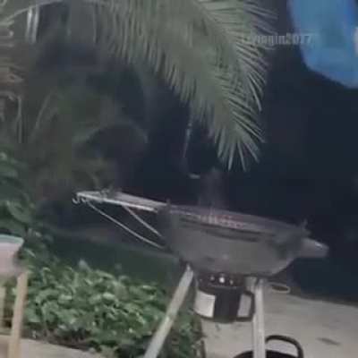 humm cheiro de sapo queimado