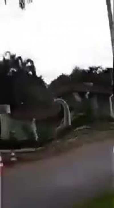 Macacoo nooo
