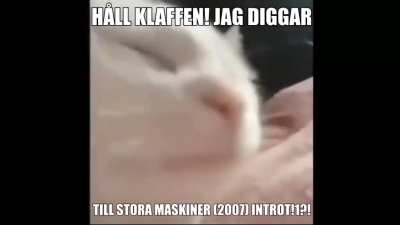 jag ner mammaa sa att maten var klar ig&aring;r&frac12;!