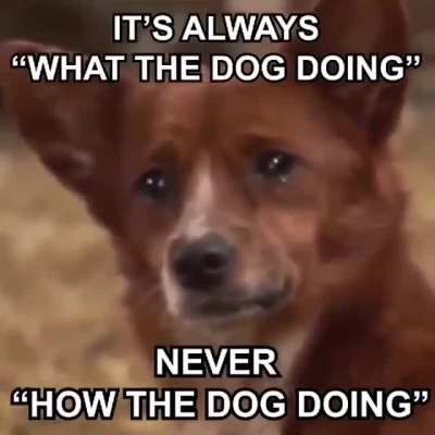 Poor Dog