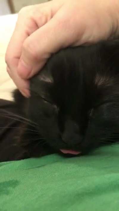 It&rsquo;s the tongue for me! She&rsquo;s done this all of her life.
