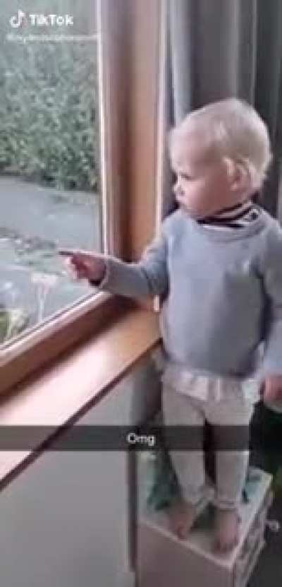 A fuckin goat