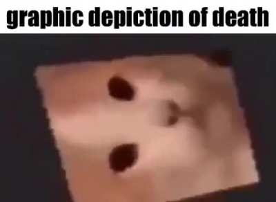 mortality salience