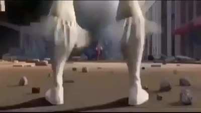 fffhhhbhbhb