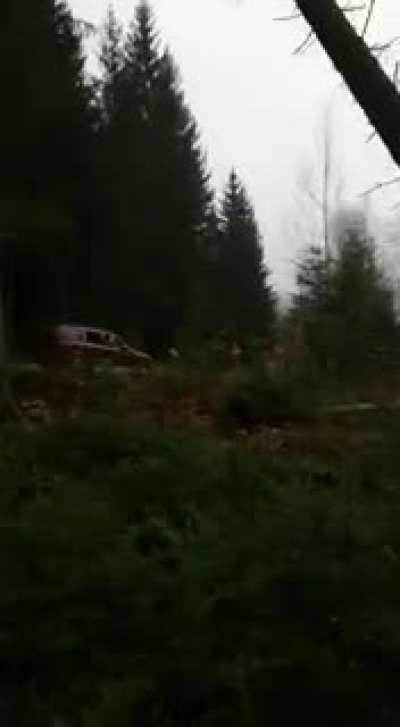 Tree cutting isn&rsquo;t made for all