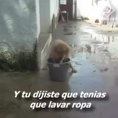Anoche tuve un sue&ntilde;o extra&ntilde;o...