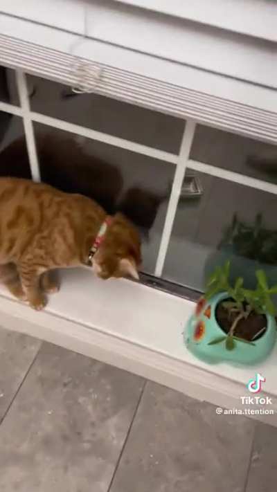 Guilty or innocent?