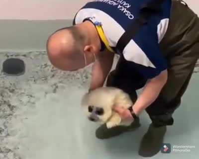 Первое купание