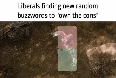 We really got 'em this time (x200)