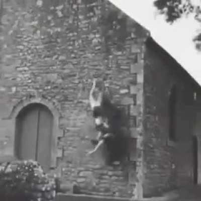 cursed climber