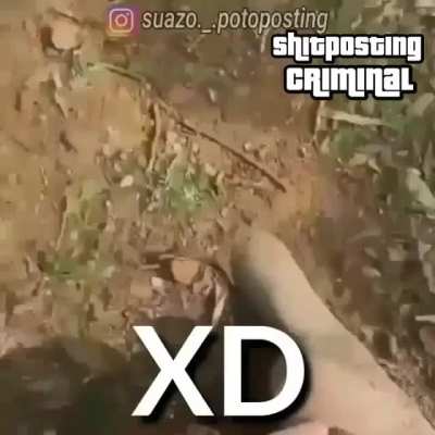XD a lo narco