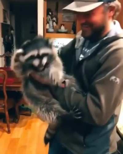 No kisses