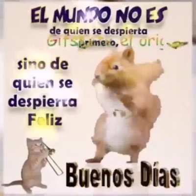Arriba Licenciados