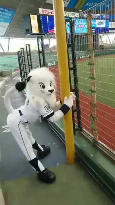 Poll_irl